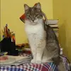 Отзыв от Алиса Овсянникова